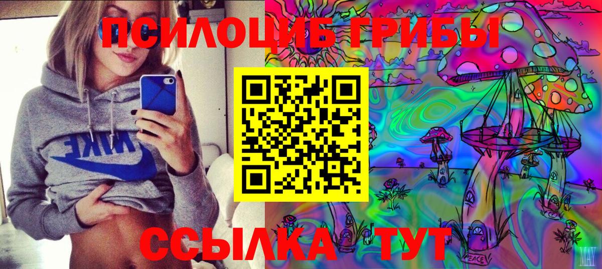Псилоцибиновые грибы ЛСД  Галлюциногенные грибы MAGIC MUSHROOMS  Новошахтинск  продажа наркотиков  Вход с VPN 