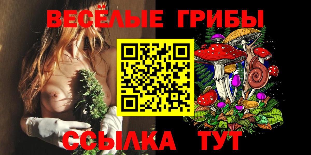 Псилоцибиновые грибы мухоморы Новошахтинск